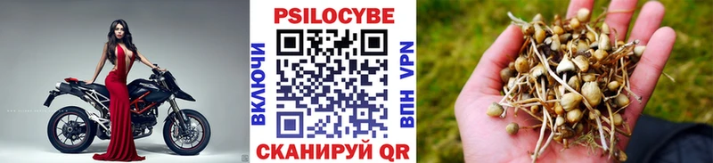 Галлюциногенные грибы Psilocybe как найти закладки Кремёнки